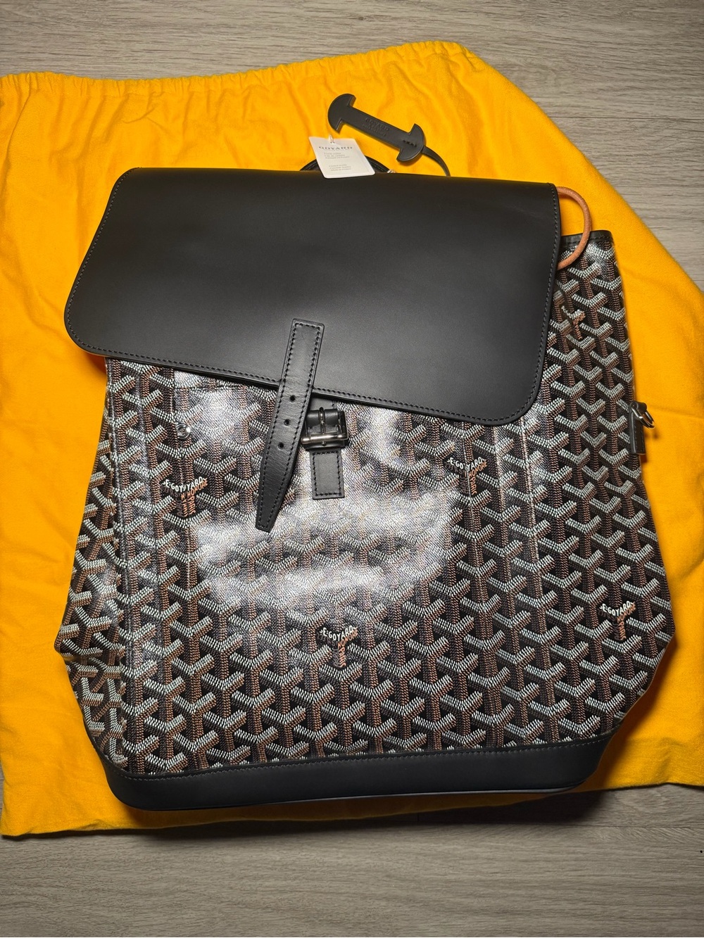 New Authentic Goyard Alpin MM 2 Backpack Noir Black w/ Original Receipt